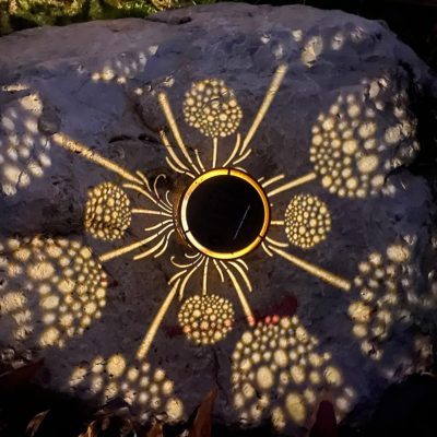 Dandelion-Design Sol
