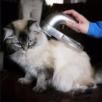 Electric Portable Pet Clean Vacuum