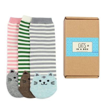 Cat Socks in a Gift 