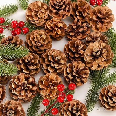 6 pieces of natural pine nut decorations for Christmas