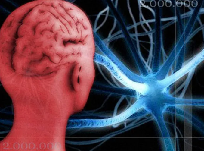 Screen Shot 2023-01-27 at 13.46.38