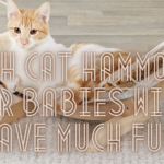 With Cat Hammock, Fur Babies Will Have Much Fun