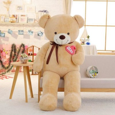 Pretty Teddy Bear Wi